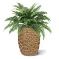 Faux Boston Fern Deluxe 65 cm (bush)