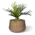 Artificial Staghorn 50 cm (bush)