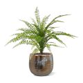 Artificial Asplenium Fern Bouquet 45 cm