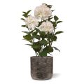 Hydrangea Artificial plant in pot 65cm White