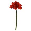 Amaryllis Artificial Flower 67cm Red