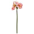 Amaryllis Artificial Flower 67cm White Red