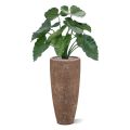 Artificial Alocasia Calidora plant 60cm