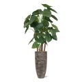 Artificial Alocasia Calidora Deluxe 165 cm FR