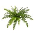 Boston Fern deluxe artificial plant x21 50cm - FR - fire retardant