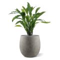 Artificial Calathea green 60cm