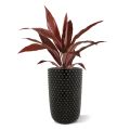 Artificial Draceana plant 60 cm red/burgundy