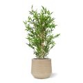 Artificial Japanese Bamboo Plant 90 cm UV