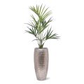 Artificial Kentia Palmtree Deluxe 135 cm