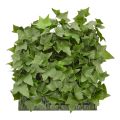 Artificial Ivy Mat 25x25 cm UV resistant