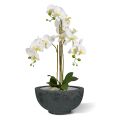Artificial Phalaenopsis Orchid 75cm white