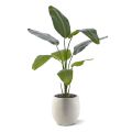 Artificial Strelitzia Nicolai plant 120cm