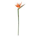 Artificial Strelitzia branch Deluxe 90cm - Orange