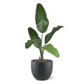 Artificial Traveller Palm 100 cm
