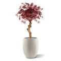 Artificial Acer Bonsai tree on trunk 85 cm burgundy