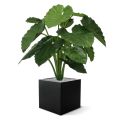 Artificial Alocasia Calidora 80cm