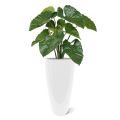 Artificial Alocasia Calidora plant 70 cm (bush)