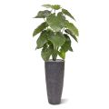Alocasia Calidora artificial plant 115 cm