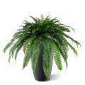 Artificial Boston Fern Giant D95 (bush)