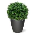 Artificial Boxwood Ball Deluxe 60cm UV