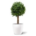 Artificial Boxwood Ball Deluxe New 25 cm UV