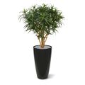 Artificial Draceana Reflexa Anita XL 120 cm