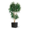 Artificial Draceana Reflexa XL 190 cm green
