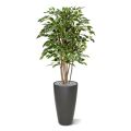 Artificial Ficus Exotica Deluxe 125 cm variegated