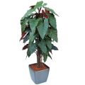Philodendron deluxe artificial plant 180 cm