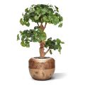 Artificial Ginkgo Bonsai deluxe tree 95 cm