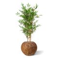 Artificial Japanese Bamboo Plant 120 cm UV