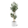 Artificial Olive tree Promo 180 cm