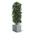 Artificial Laurel Bay column tree 125 cm anti-UV