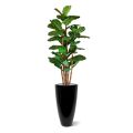 Lyrata deluxe artificial tree 165 cm
