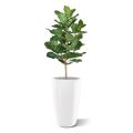 Lyrata Royal artificial plant 90 cm