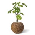 Monstera artificial plant 90 cm