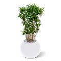 Artificial Oriëntal Bamboo 70 cm