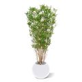 Artificial Oriental Bamboo tree 160 cm