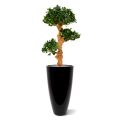 Artificial Panda Bonsai 90 cm x3 on foot