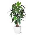 Philodendron deluxe artificial tree 170 cm