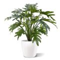 Artificial Philodendron Xanadu plant 50 cm
