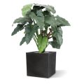 Artificial Philodendron XL 120 cm