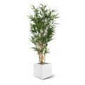 Artificial Royal Bamboo 165 cm green