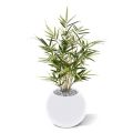 Artificial Royal Bamboo 70 cm variegated
