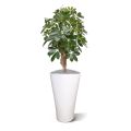 Artificial Schefflera plant 65 cm on foot