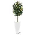 Artificial Orange Tree Deluxe 150cm